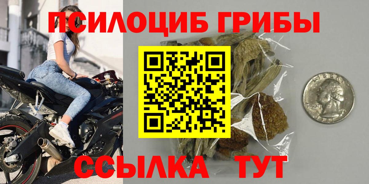 Псилоцибиновые грибы Magic Shrooms  Галлюциногенные грибы GOLDEN TEACHER  Киров  Вход с VPN 
